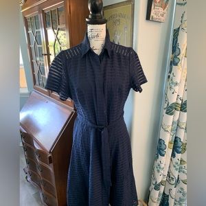 Liz Claiborne Navy Shirtdress (12)